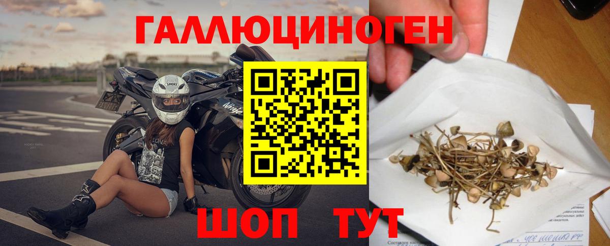 Благодарный  Галлюциногенные грибы мухоморы  Псилоцибиновые грибы MAGIC MUSHROOMS  Вход с VPN 
